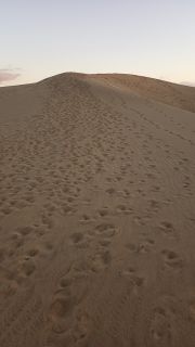 GC-Dunas de Maspalomas sunset 2026-149.jpg